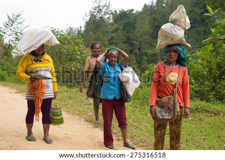 Mamasa, Sulawesi, Indonesia - August 18, 2014: group of women carrying bags and sacks on a road in the countryside of Mamasa, Sulawesi, Indonesia. Concept of manual working in developing countries.