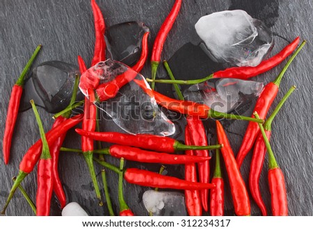 Hot red chili pepper with ice, salt & seashells on a black stone surface/ Hot Red Chili Pepper/ Red Pepper
