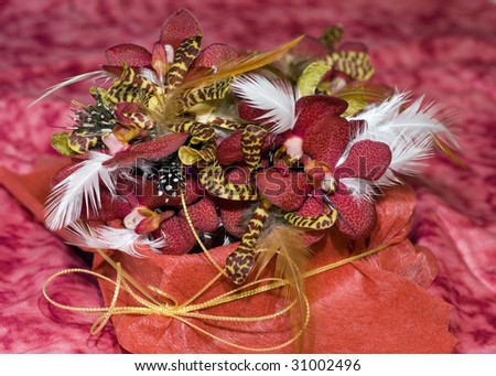 Corsage of Orchids and Feathers for Formal Dance