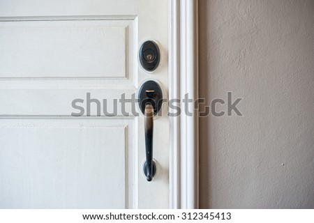 door element- Metal door handle with the white door
