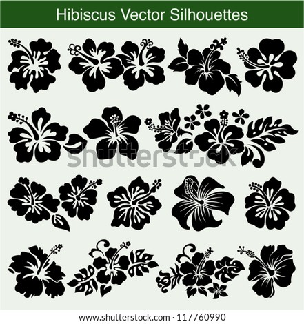 Hand Drawn Hibiscus Flower Vector | 123Freevectors