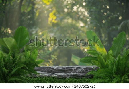 Similar – Image, Stock Photo Empty platform with plant leaves on beige background