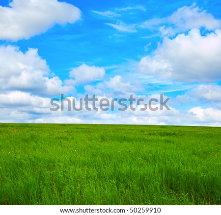 Beautiful summer landscape. Sky and grass.