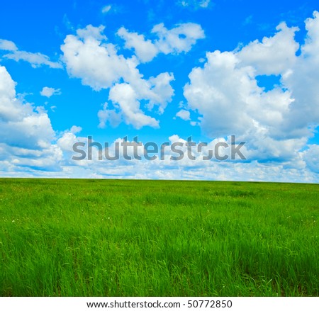Beautiful summer landscape. Sky and grass.