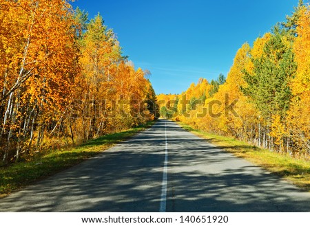 Road in golden autumn forest.