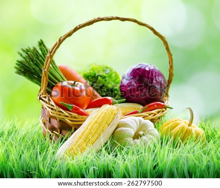 Fresh vegetables in the basket on green grass and on nature background. Cabbage, chili, asparagus, tomatoes, lettuce and carrot in the basket. White and yellow pumpkins in grass. Healthy eco food.