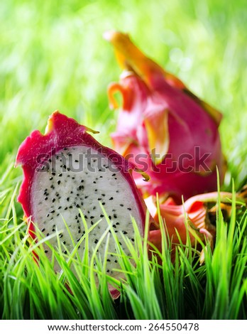 Juicy fresh ripe dragon fruit or pitaya on green grass in the morning. Healthy eco food rich in minerals and vitamins. Product of organic farming.