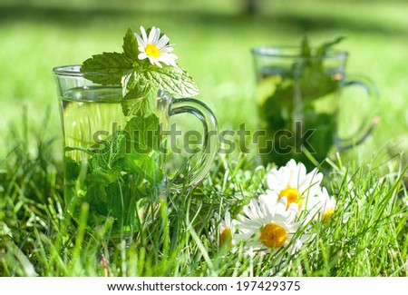 Herbal tea with fresh mint and melissa in the grass