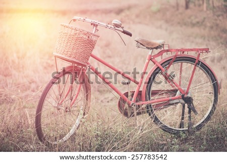 Vintage Bicycle with Summer grassfield ; vintage filtered tone style