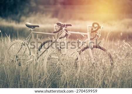 beautiful landscape image with two sport vintage Bicycle at summer grass field ; vintage filtered style