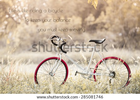 life quote. Inspirational quote by Albert Einstein on image Sport Vintage Bicycle with summer grass field