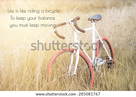 life quote. Inspirational quote by Albert Einstein on image Sport Vintage Bicycle with Summer grass field ; vintage filter style