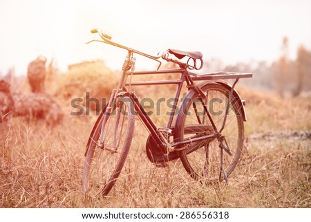 Vintage Old Bicycle with Summer grass field