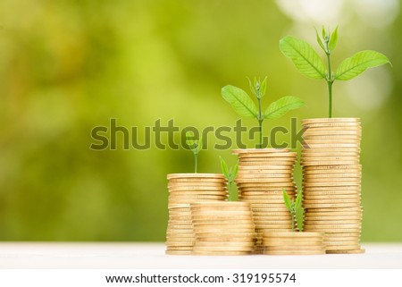 Business Finance and Money concept, Money Gold coin stack growing graph with green bokeh background;Trees growing on gold coin