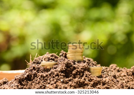 Money Gold coin stack growing graph on ground with green bokeh background ; Business Finance and Money concept