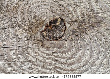 Mote in the old pine board, photographed close up