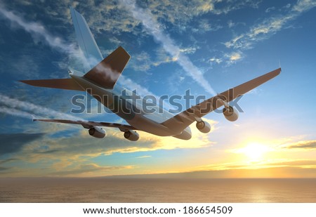 Plane flies over the sea at sunset