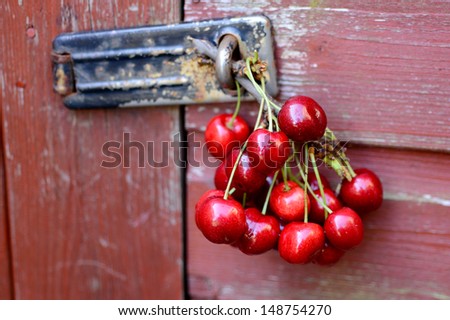Lock the door with the Cherry stem