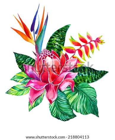 bouquet of jungle flowers with ginger, heliconia, bird of paradise, sansiveria and palm. watercolor painting