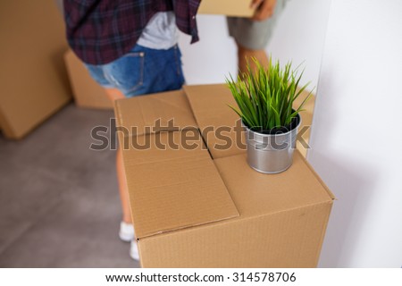 Moving box with a plant on it. Time to unpack. Close up