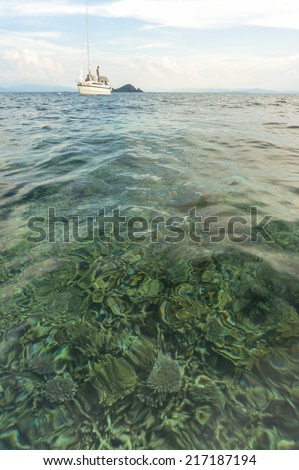 Clean and clear water with sail boats background. Low angle view