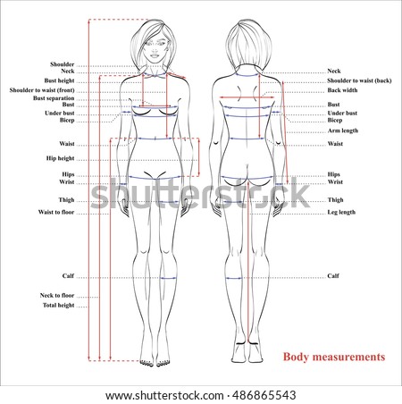 Vector Images Illustrations And Cliparts Woman Body Measurement