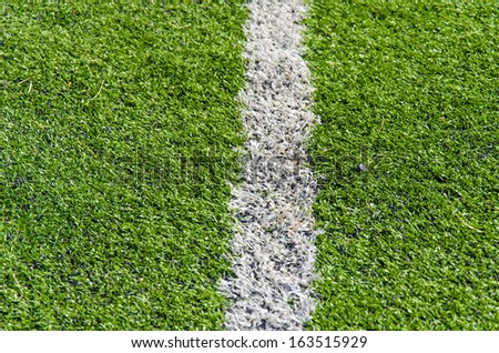 white lines in green grass field in the soccer field