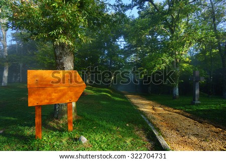 wooden blank board on a forest entrance