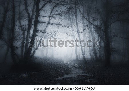 Similar – Foto Bild Bäume im Nebel im Deister