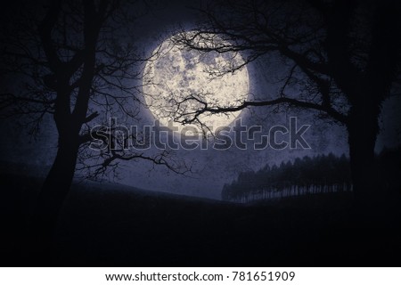 Similar – Image, Stock Photo grungy landscape with big tree shadow and massive dark vignette. crooked horizont.