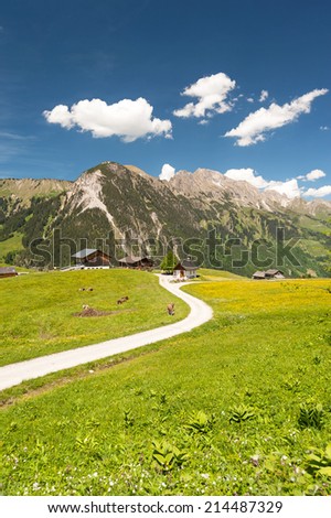 Austrian mountain landscape