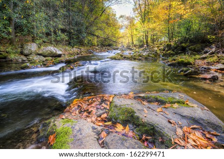 Mountain stream in Great Smoky Mountains National Park with fall colors on display