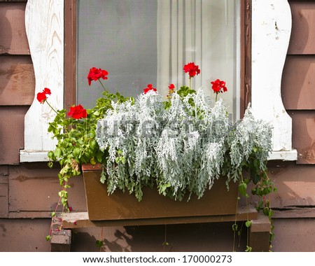 Weathered white-framed chalet window accented by red flowers