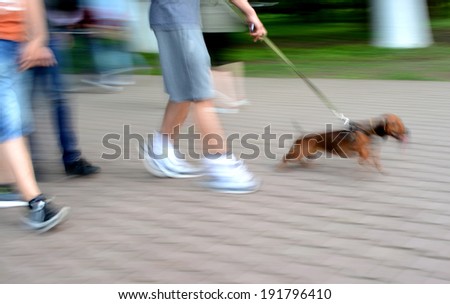 Walking the dog on the street. Intentional motion blur