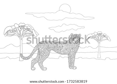Download Realistic Cat Coloring Pages Printable At Getdrawings Free Download