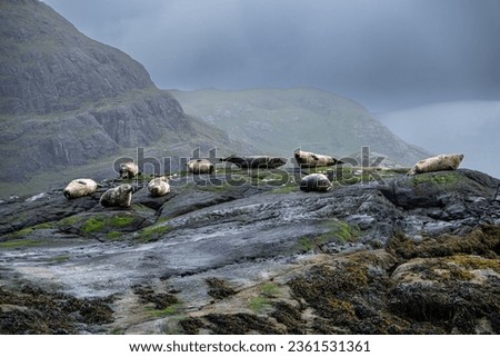 Similar – Image, Stock Photo Loch Coruisk on the Isle of Skye