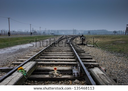Auschwitz Railway Lines in the Winter Fog with a Poppy and Yellow Rose laid down