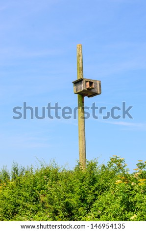 A man-made barn owl nesting box