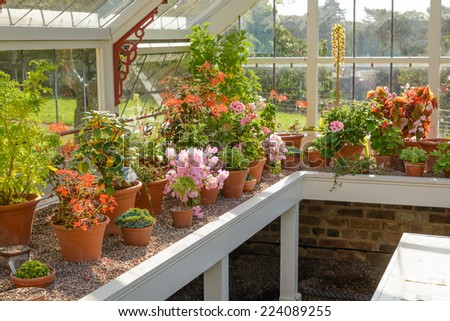 A beautiful white wooden greenhouse with an array of flowers and plants