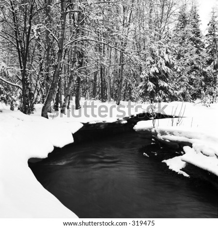 Stream flowing through snow banks during an Alaskan winter, in Black and White