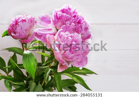 Bouquet of pink peonies on a white wooden background.