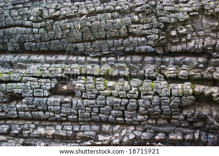 Texture of burnt wooden house wall