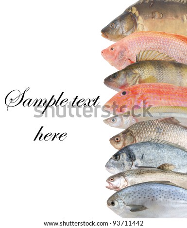 Fish background