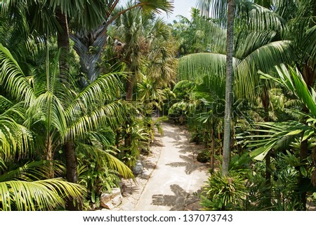 Stone pathway in tropical garden during day time