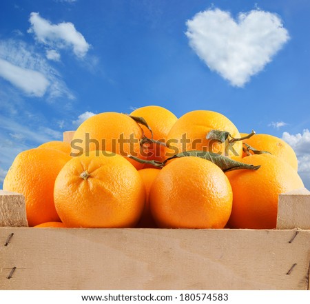 Fresh and ripe orange fruits in wooden box on sky background