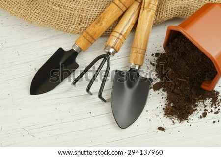 Gardening concept, gardening tools on old white table