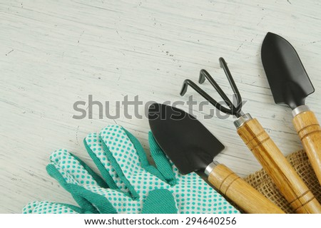 Gardening concept, gardening tools on old white table with room for text