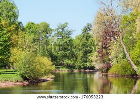 Trees on the bank of a pond in park in the spring