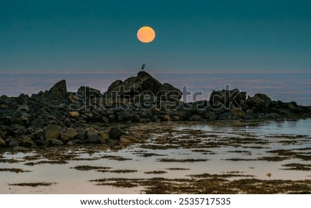 Similar – Foto Bild Felsen, der unter Wolkenverhangenem Himmel mickrig klein wirkt.