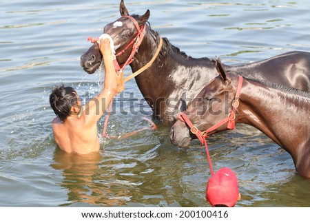 Nakhonratchasrima,Thailand - May 2014 a man cleaning a horse in river